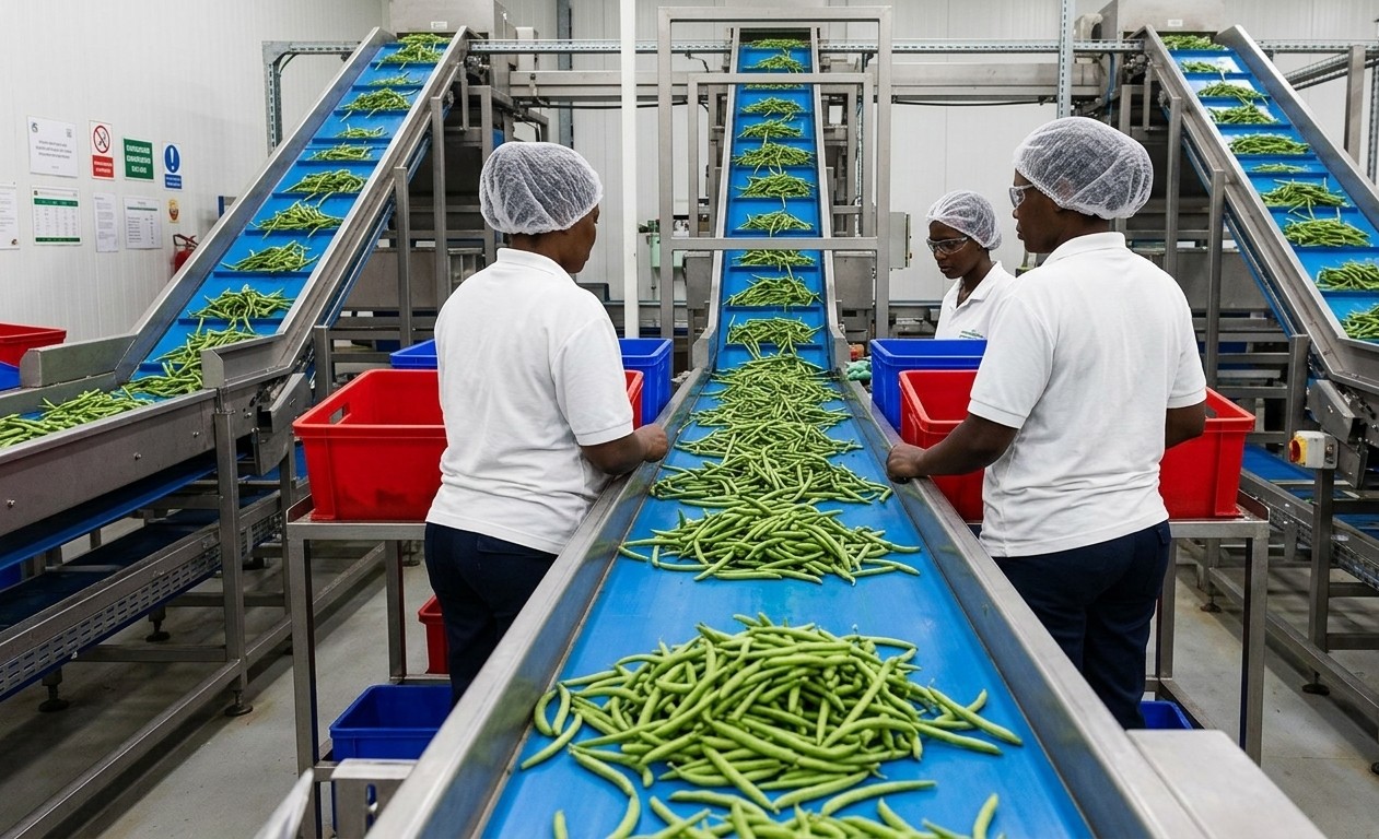 Conditionnement stérile des produits